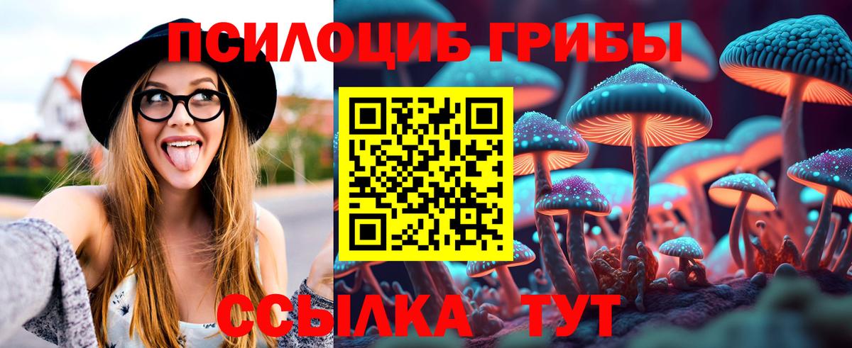 Галлюциногенные грибы прущие грибы  Вход с VPN  Новотроицк 